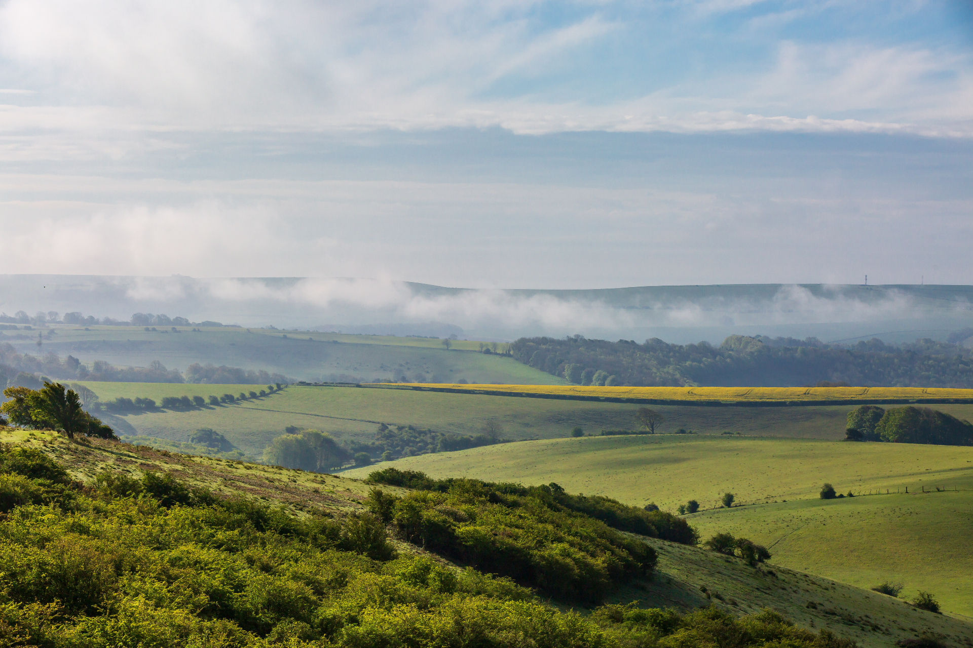 South Downs — rolling green hills in summer mist
