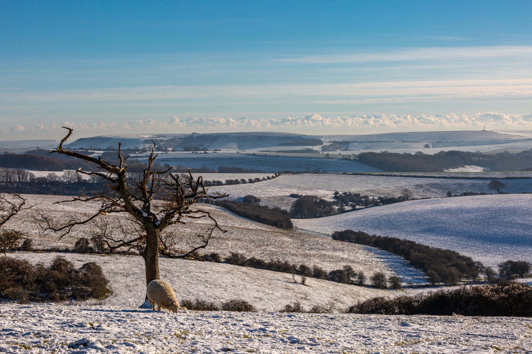South Downs — snow-covered hills in winter